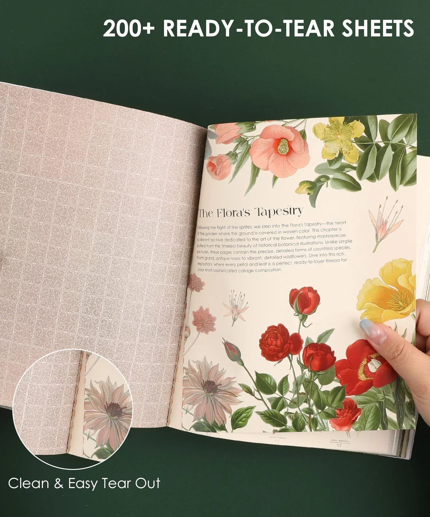 200+ Pages The Botanical Muse Collage Activity Book - Image 8
