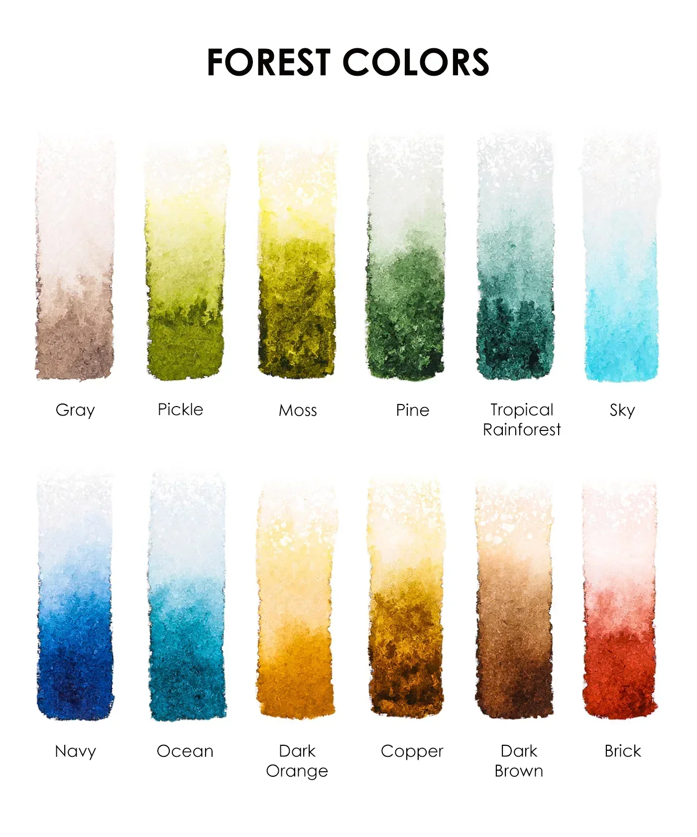 Foldable Watercolor Pocket Set of 12 - Forest Colors - Image 7