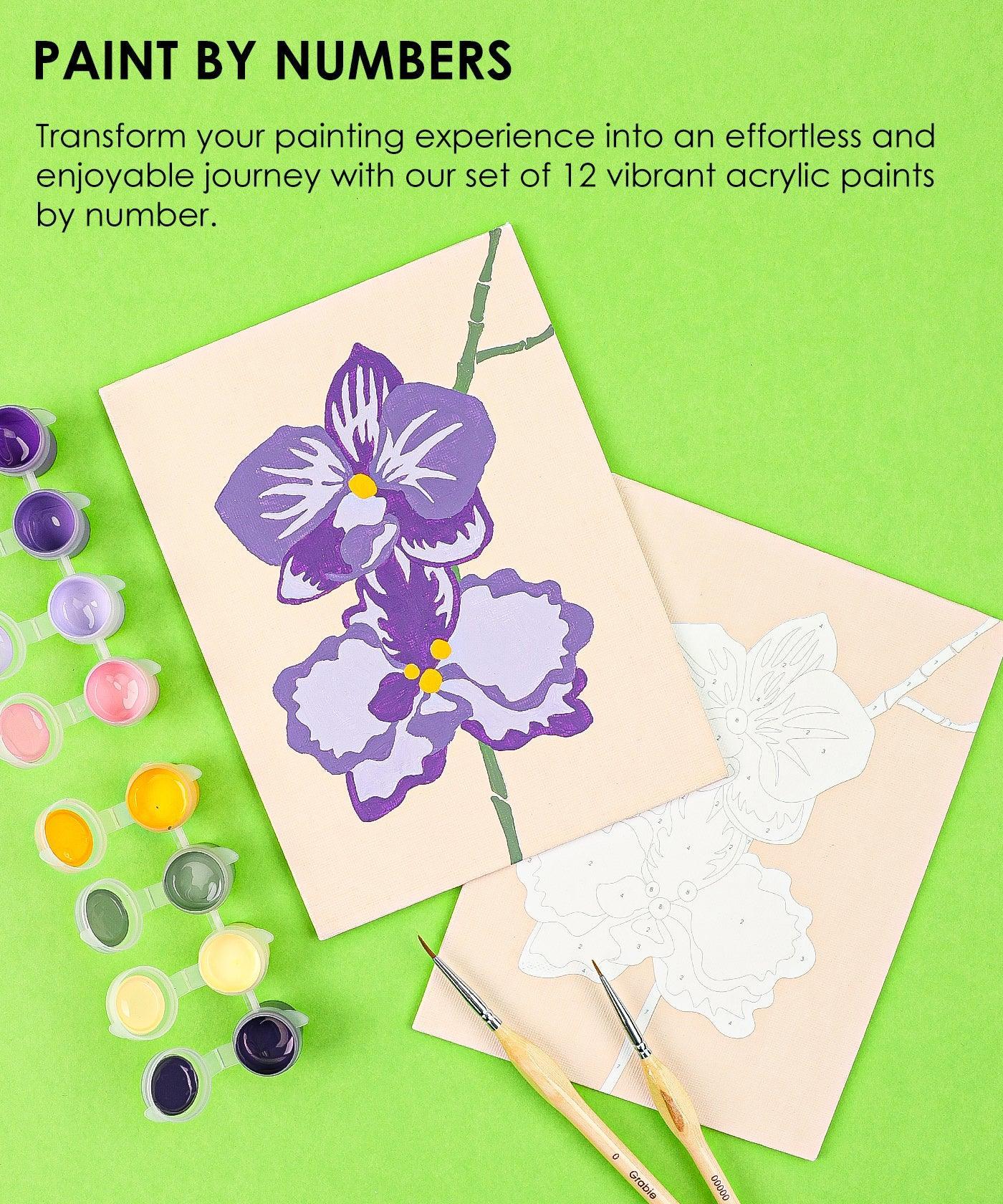 Paint-by-Number Nature Series Kit - 2 Designs - Image 5