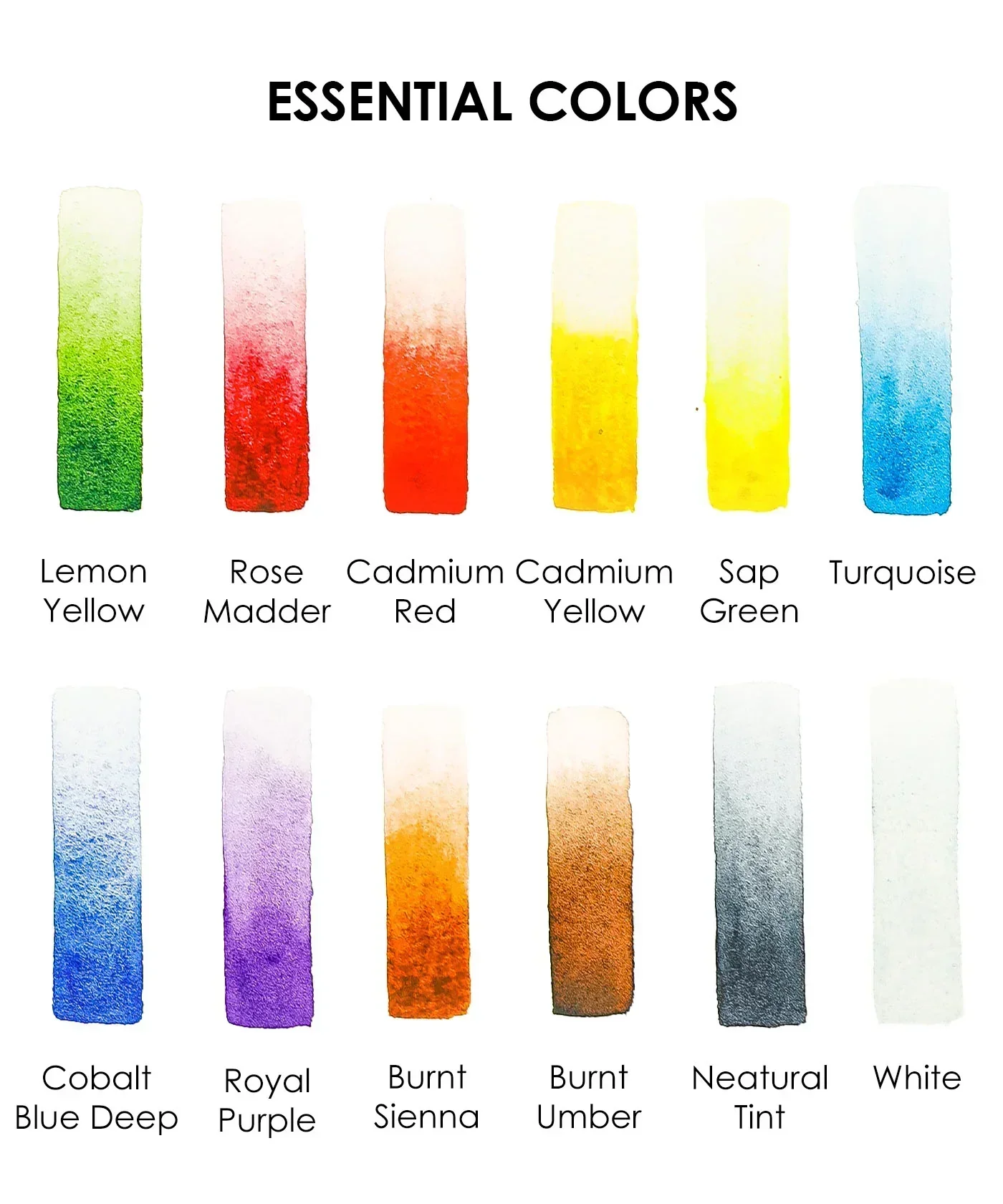 Essential-Themed  Watercolor Coloring Club Box - Image 5