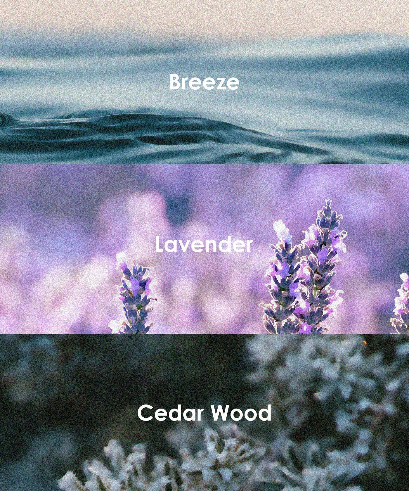 Scent Candle DIY Set - Image 8
