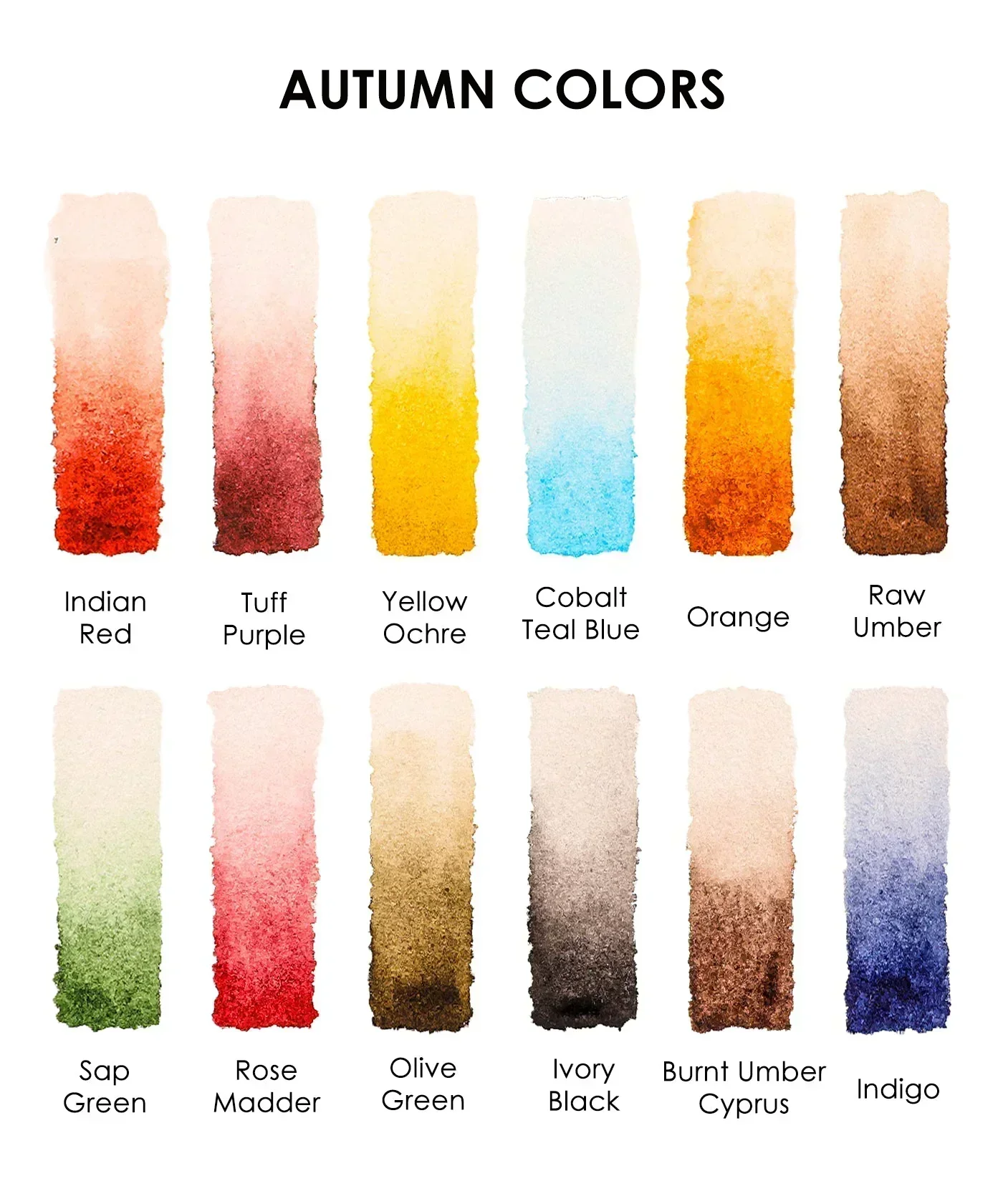 Watercolor Pocket Set - 5 Themes Value Bundle - Image 17