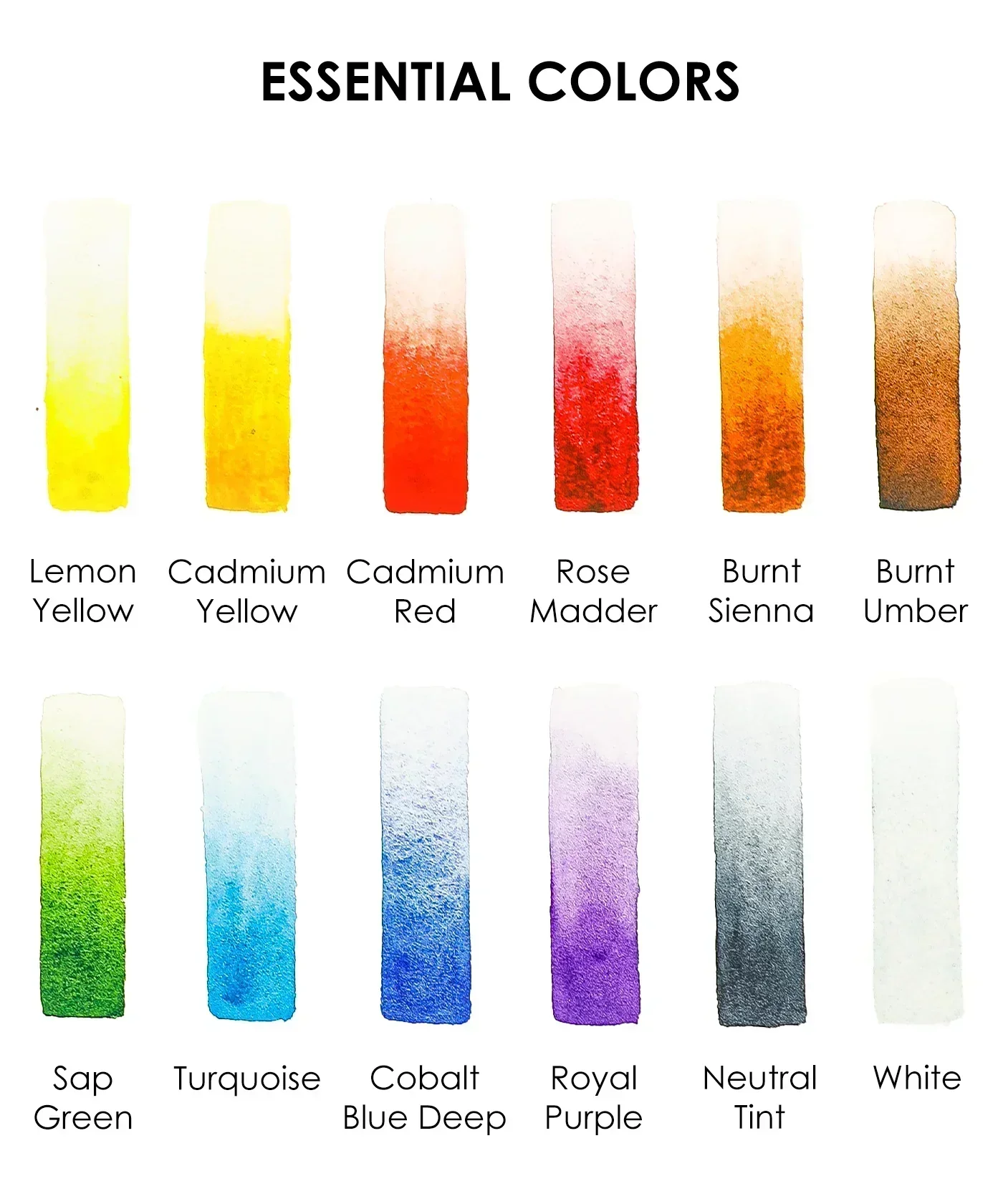 Watercolor Pocket Set of 12 - Essential Colors - Image 6