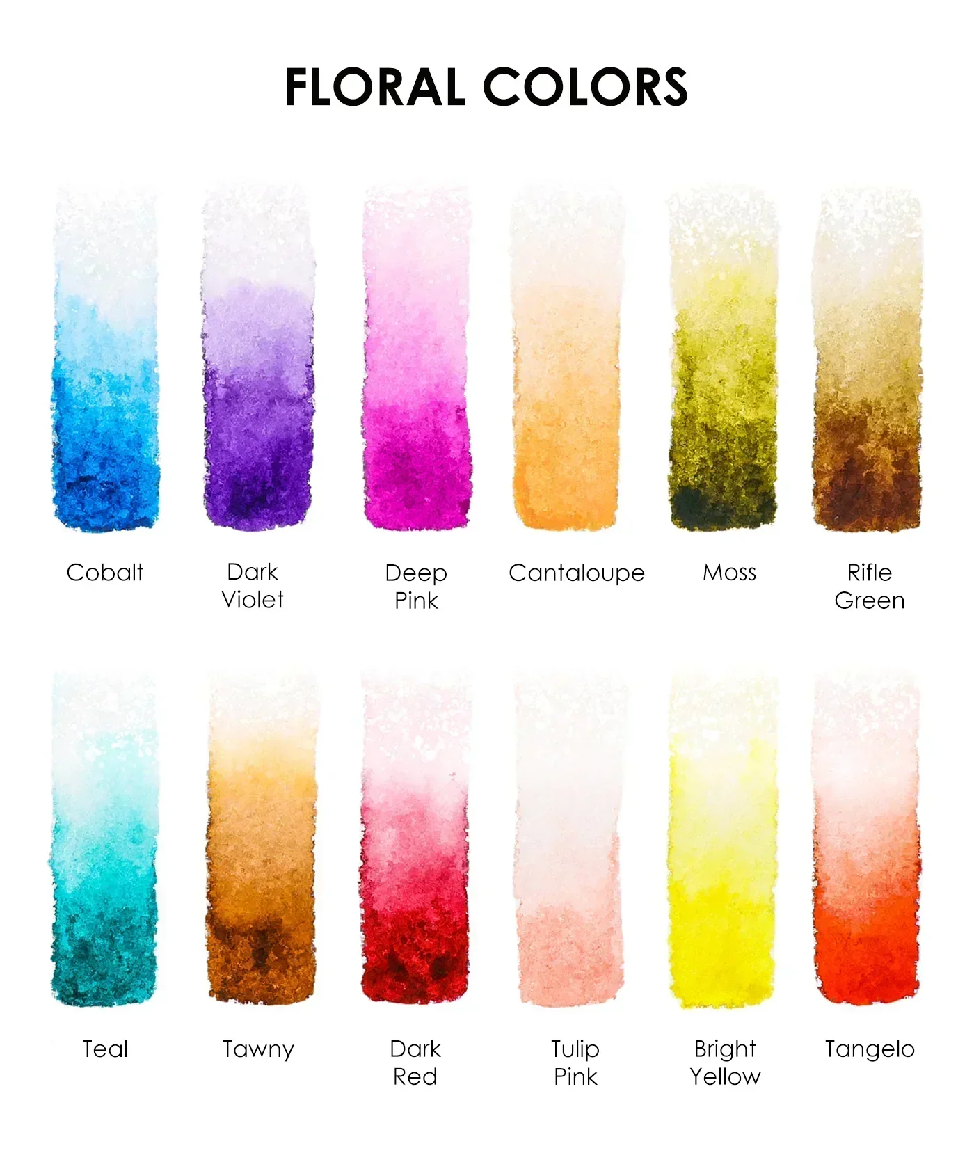 Watercolor Pocket Set Of 12 With Brush - 5 Themes Value Bundle - Image 13