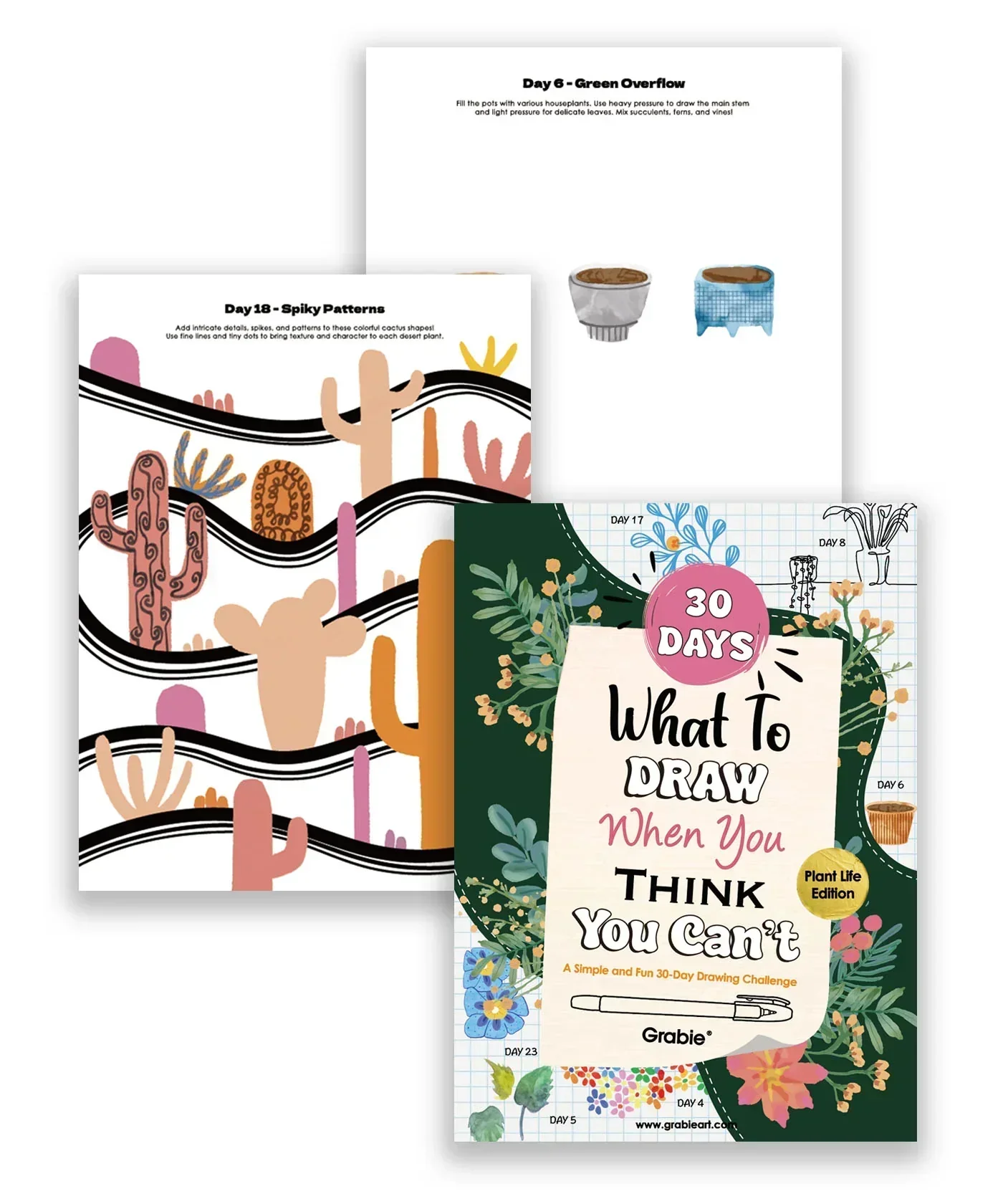 What To Draw: 30-Day Plant Life Edition Drawing Kit - Image 6